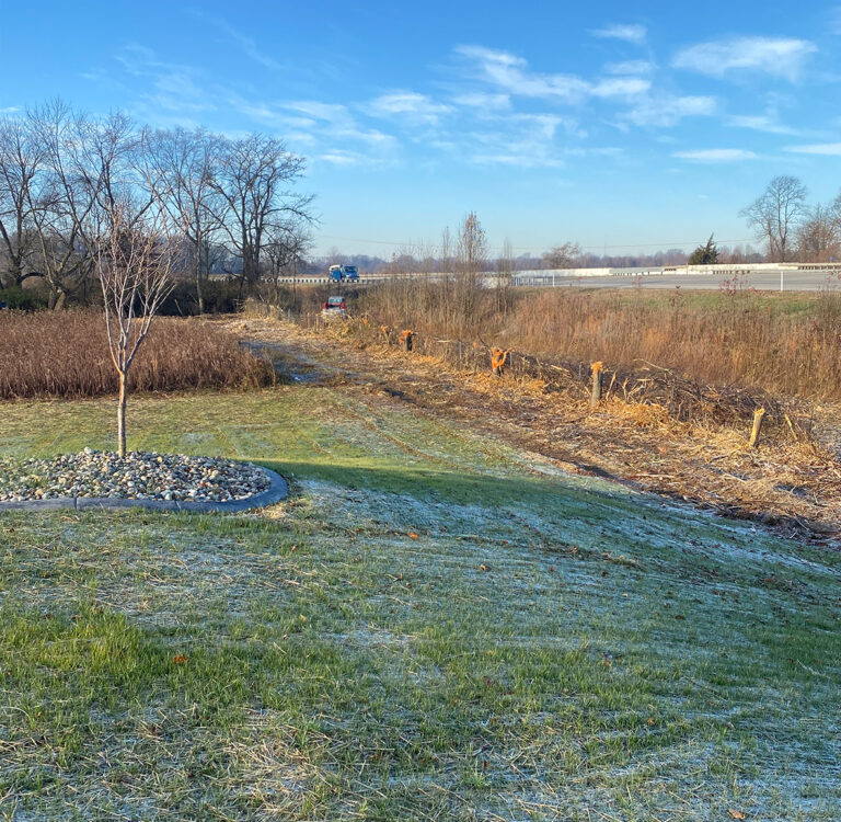 Huck's Overgrowth 2