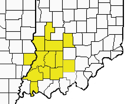 Areas R and S Excavating Services highlighted on map.